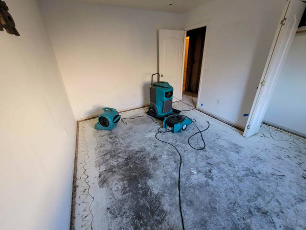 Best Carpet water damage restoration  in County Center, VA